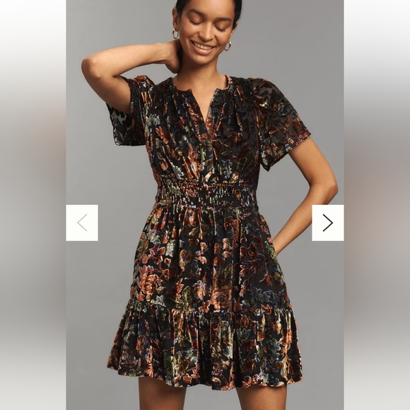 Anthropologie Dresses & Skirts - NWT Anthropologie Somerset Velvet Mini Dress with Pockets – Medium